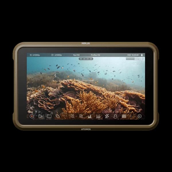 Atomos Ninja V — monitor rental